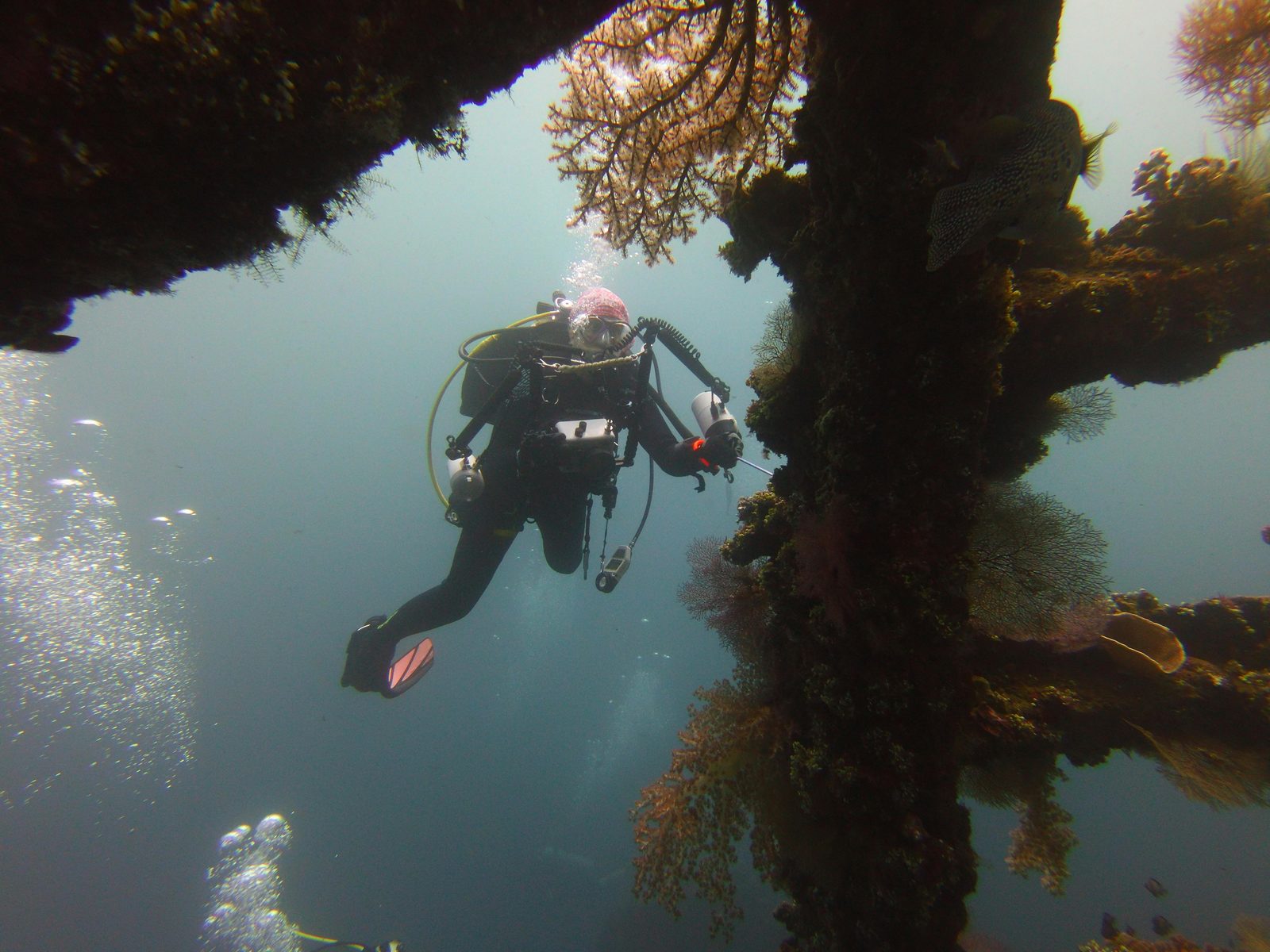Dive Centers