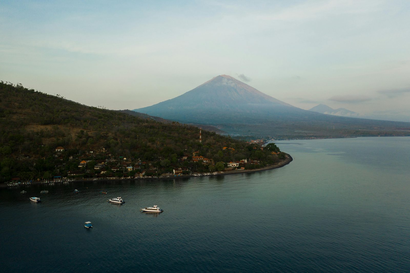 Amed