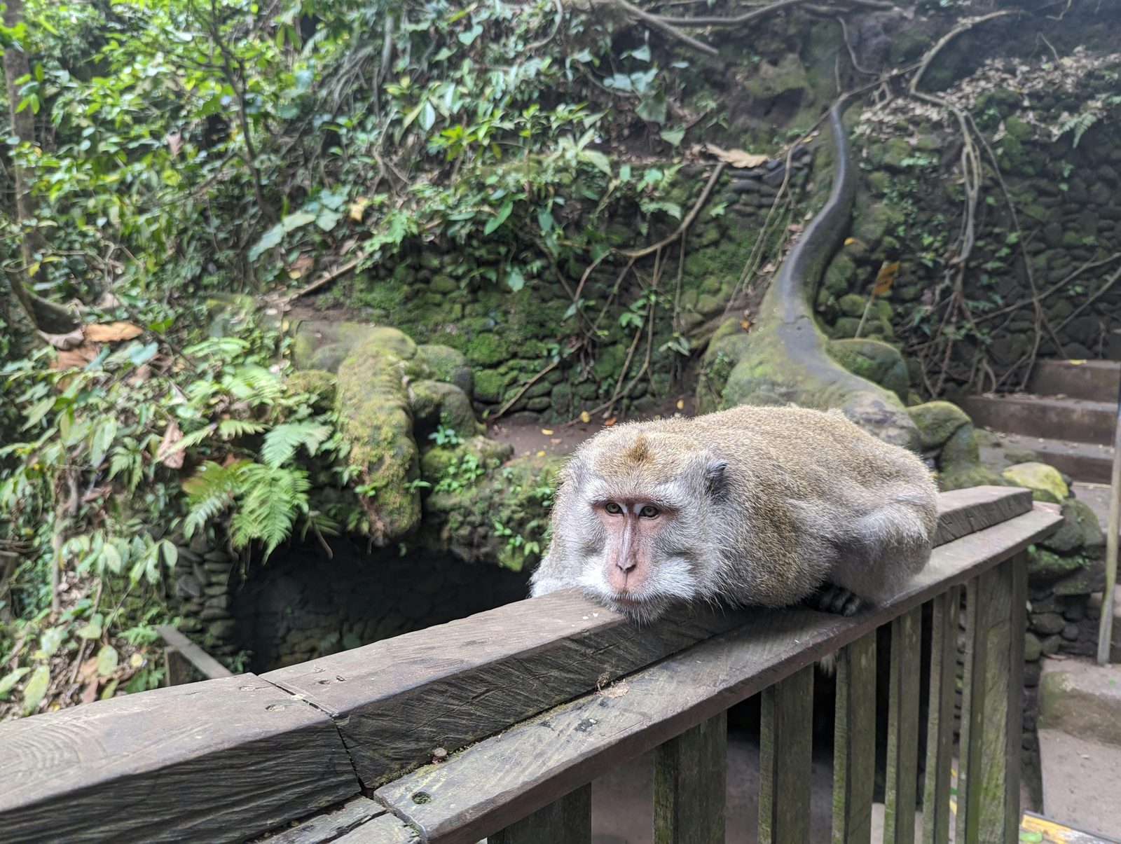 Ubud